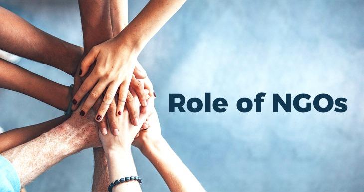The Important Role That Non-Governmental Organizations (NGOs) Play in Our M