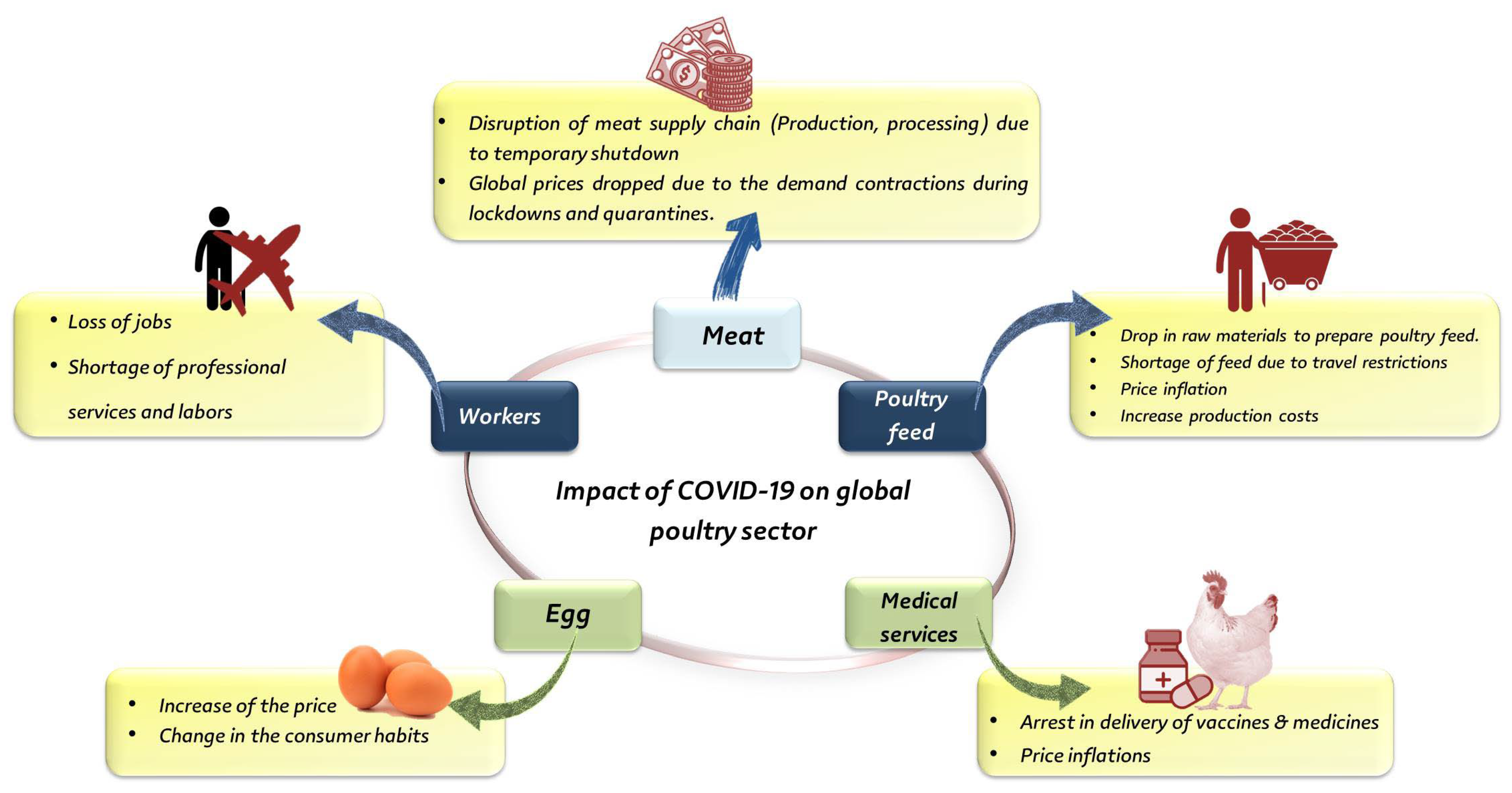 The impact of small ruminant funded projects on the socio-economic development of the producers
