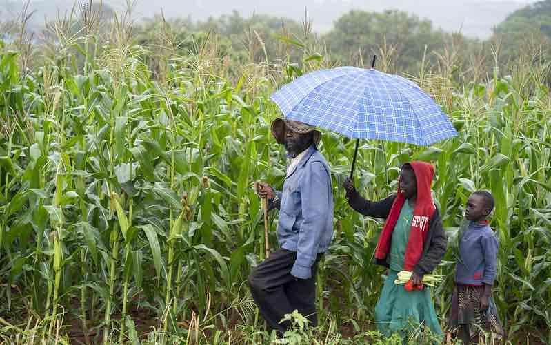 Adoption of the Conservation Farming